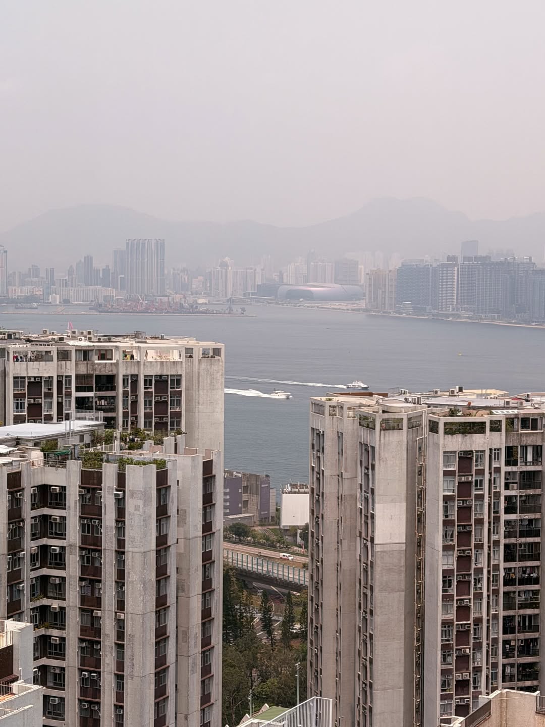 ส้ม - มารี เออเจนี เลอเลย์