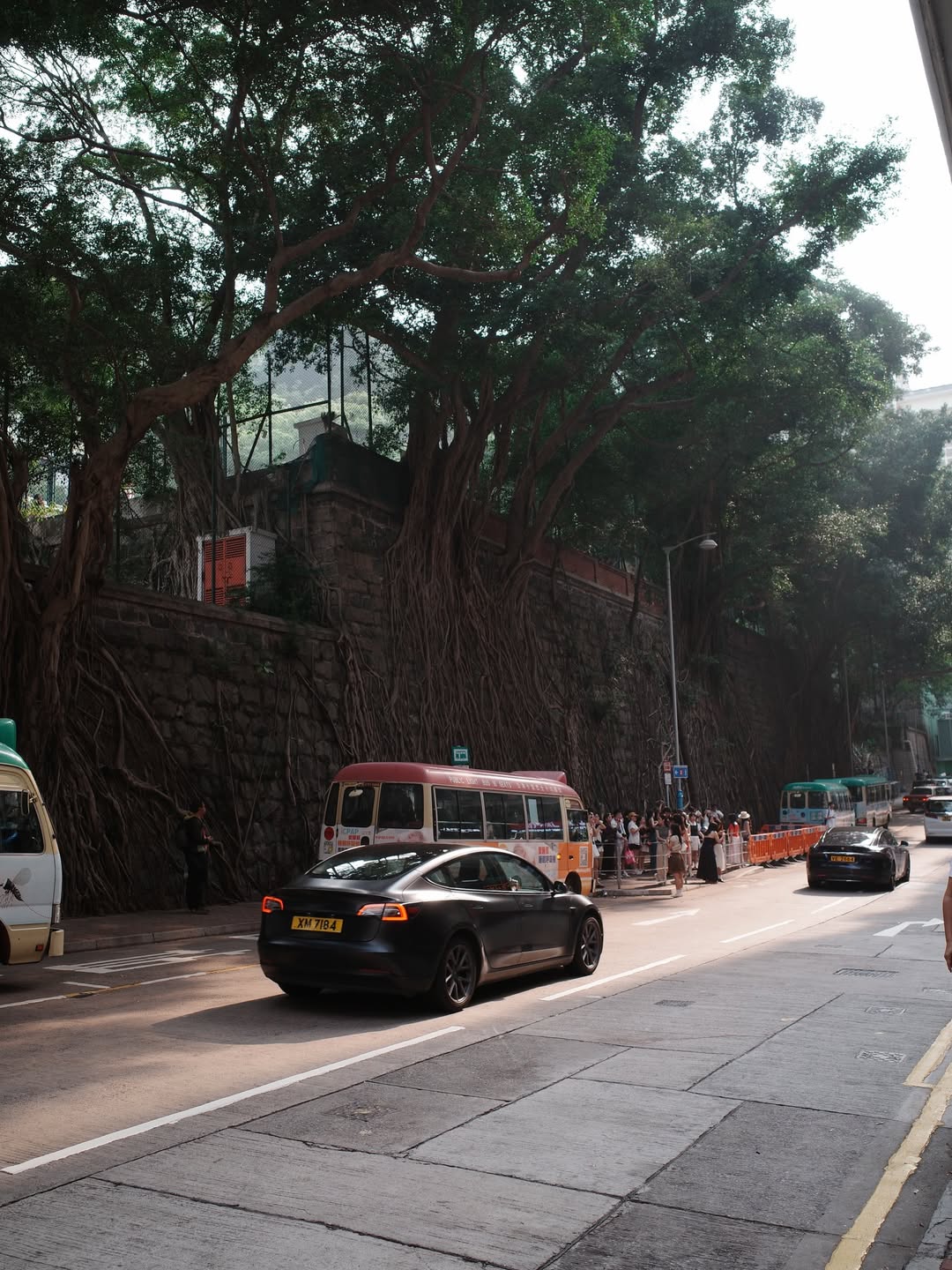 ส้ม - มารี เออเจนี เลอเลย์