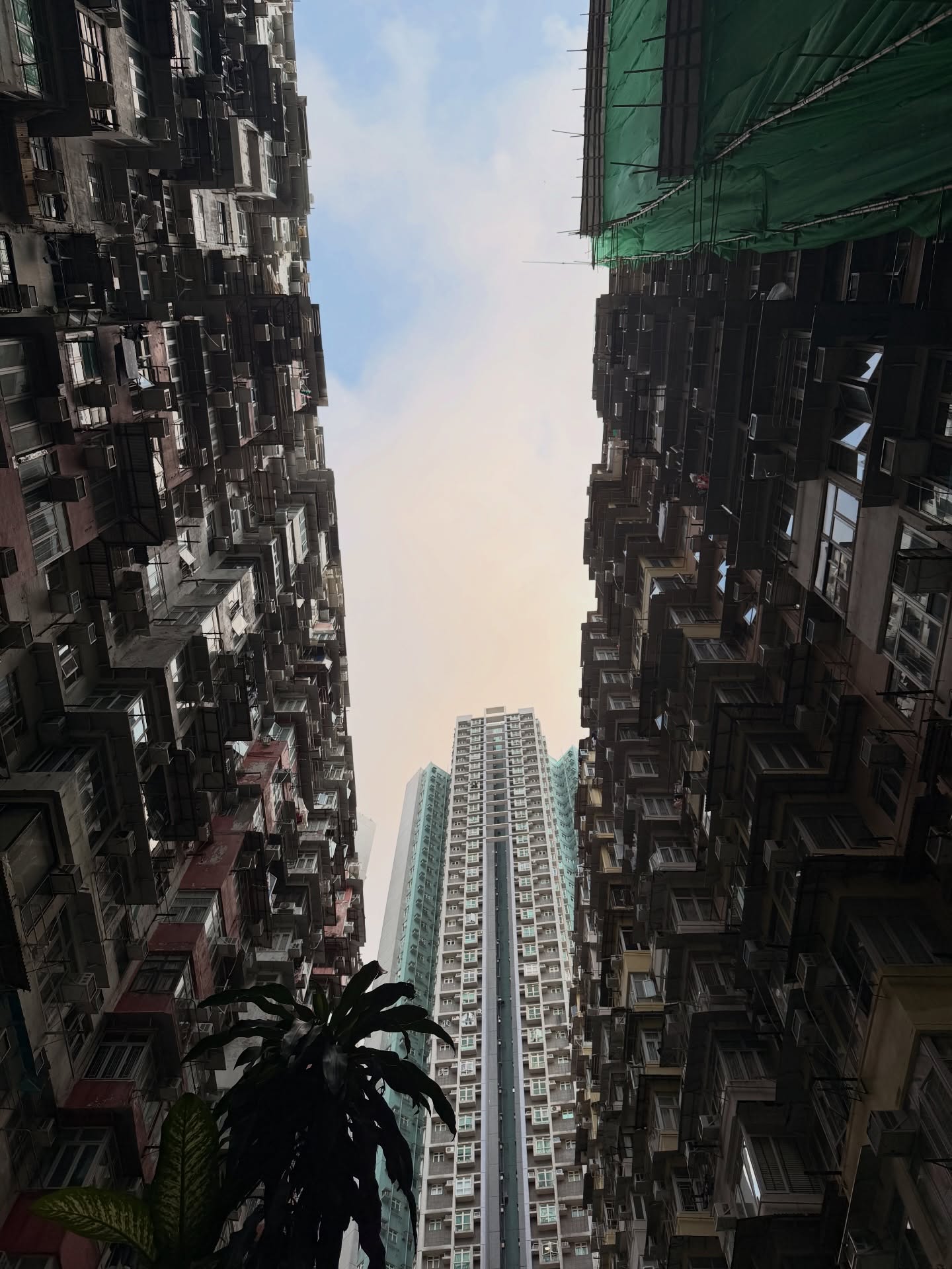 ส้ม - มารี เออเจนี เลอเลย์