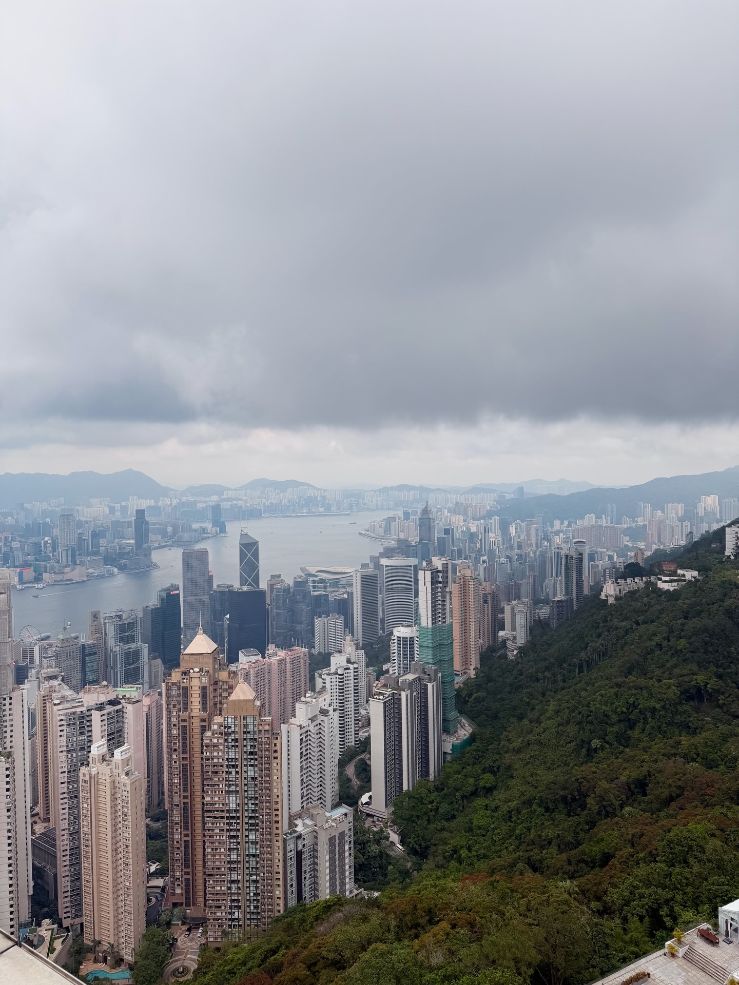 ส้ม - มารี เออเจนี เลอเลย์