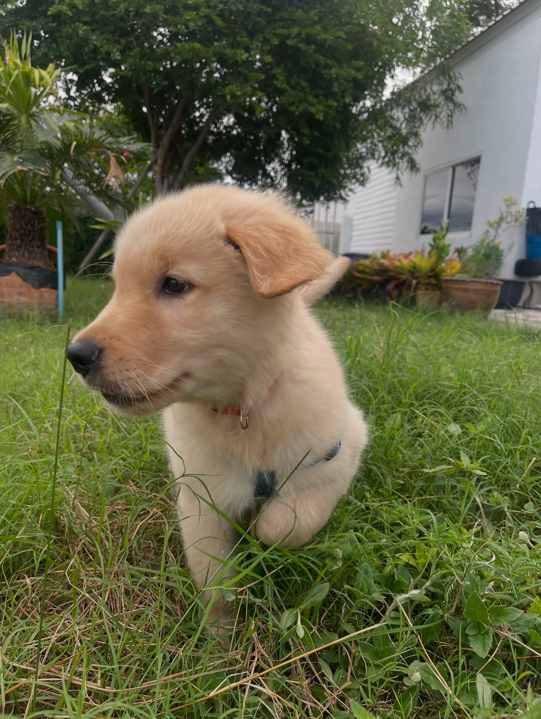 บอมบ์ - ธนิน มนูญศิลป์