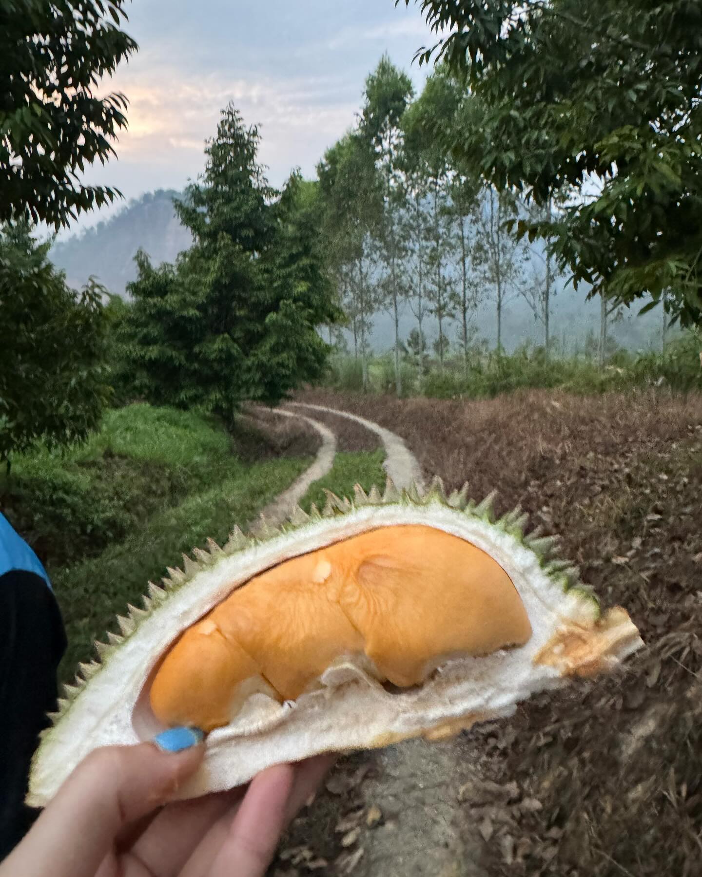 ฟรัง - นรีกุล เกตุประภากร