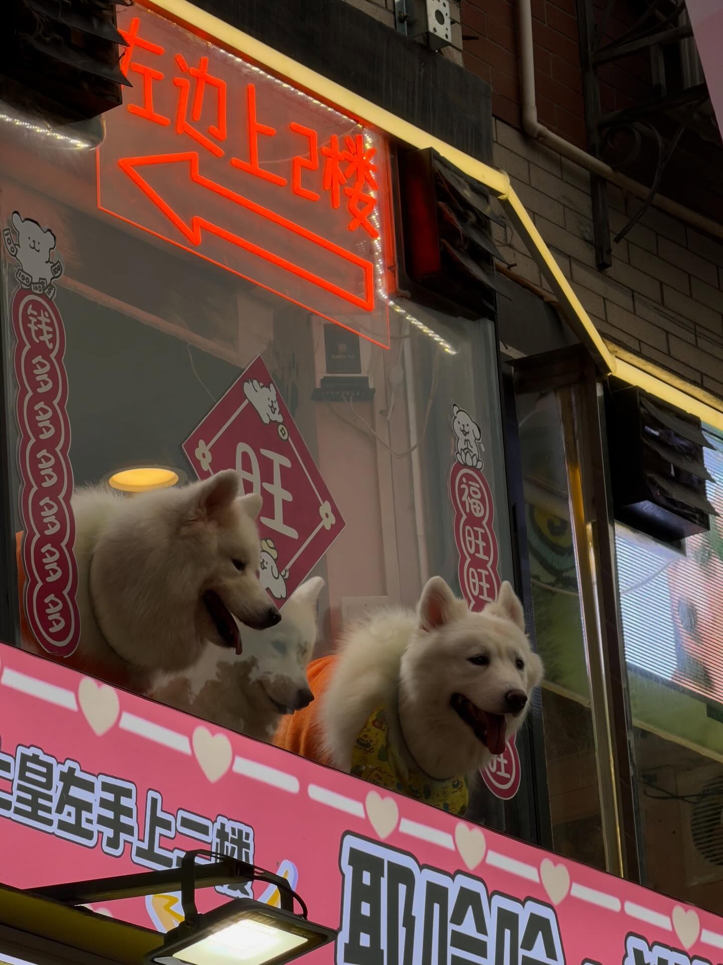 ฟรัง - นรีกุล เกตุประภากร