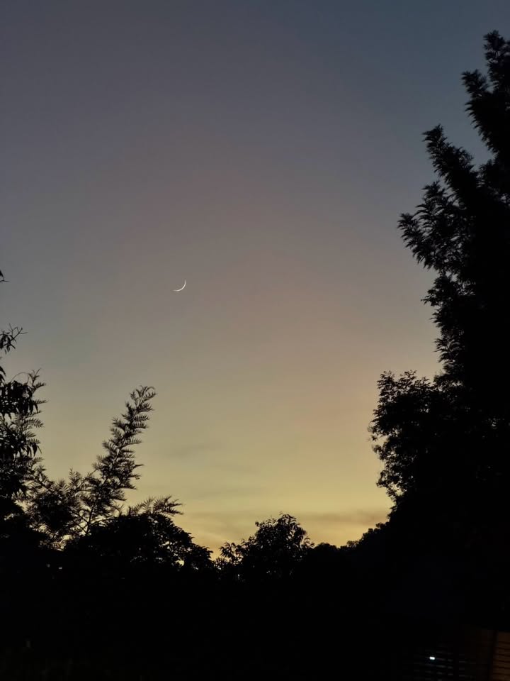 ฟรัง - นรีกุล เกตุประภากร