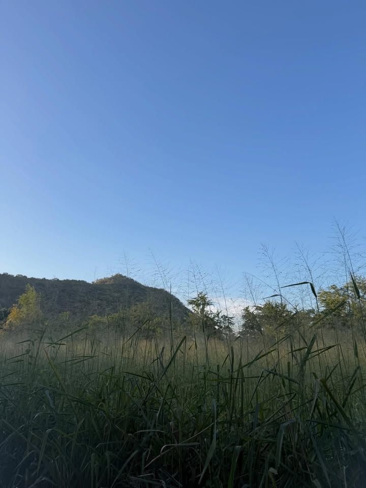 ฟรัง - นรีกุล เกตุประภากร