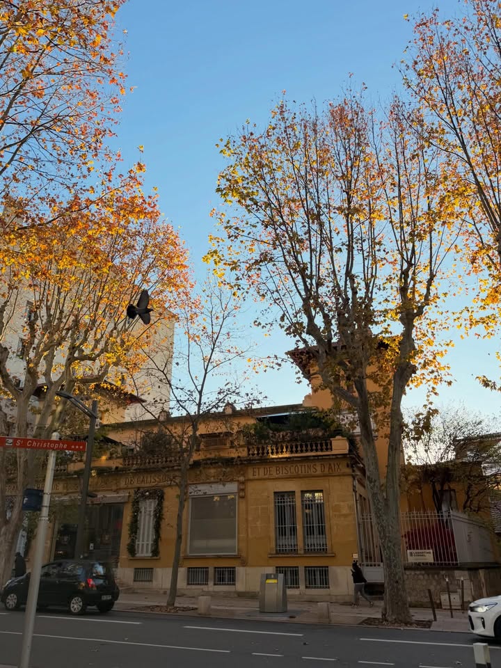 ฟรัง - นรีกุล เกตุประภากร