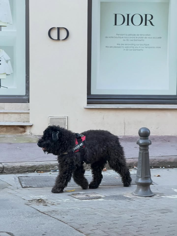 ฟรัง - นรีกุล เกตุประภากร