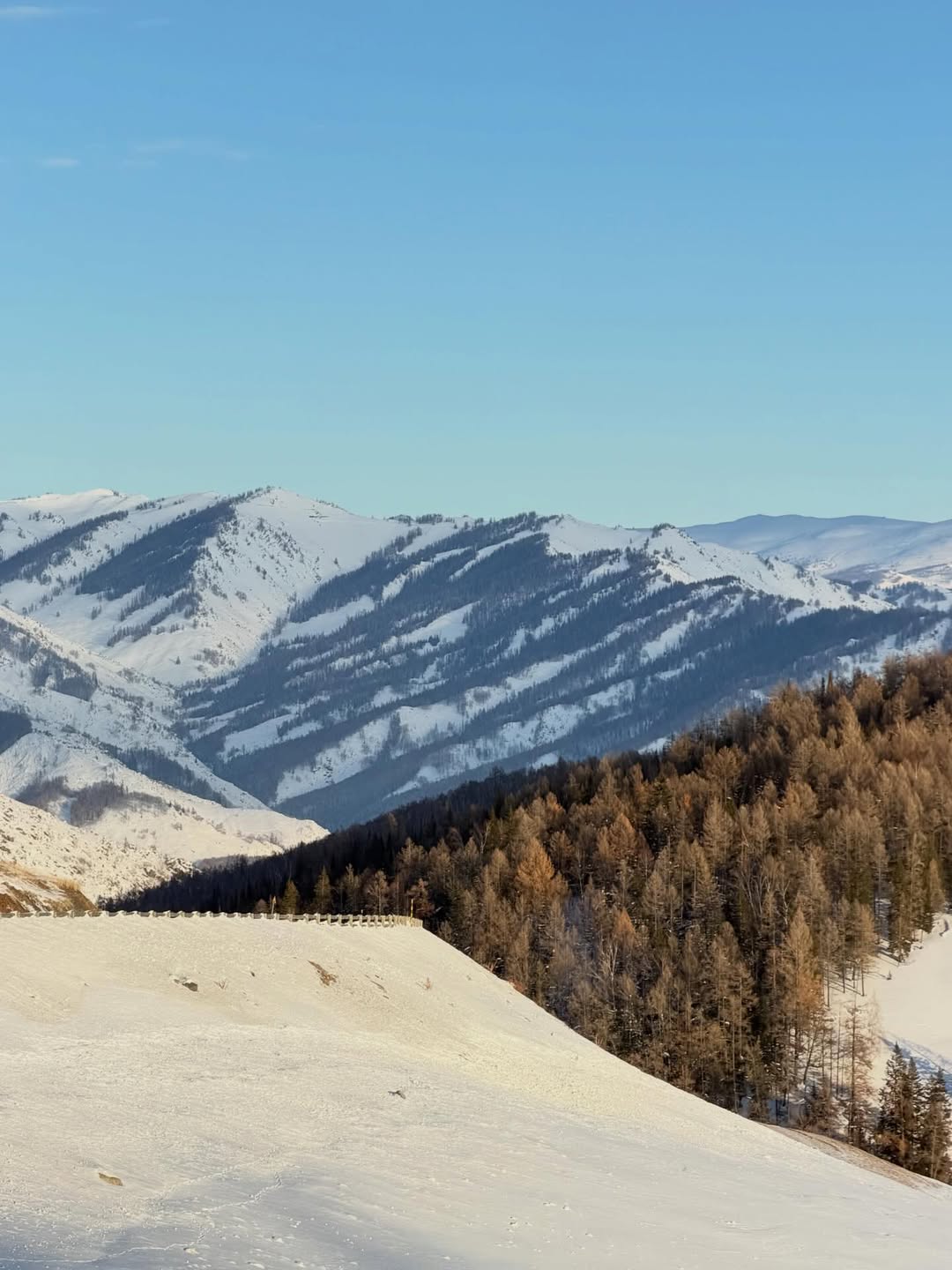 ฟรัง - นรีกุล เกตุประภากร