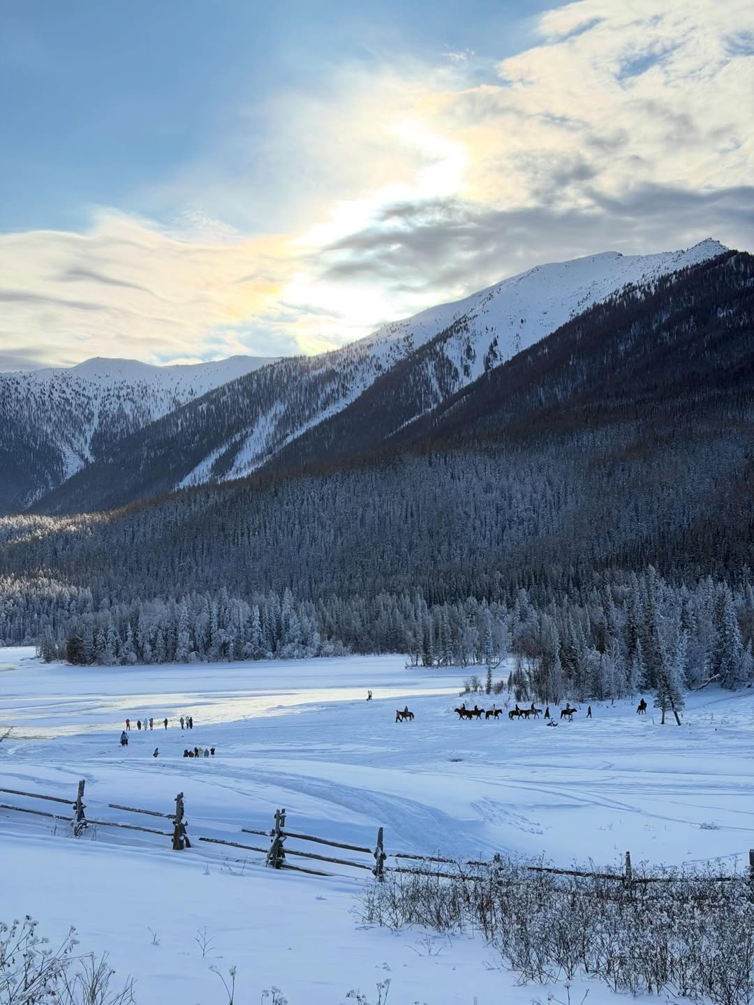 ฟรัง - นรีกุล เกตุประภากร