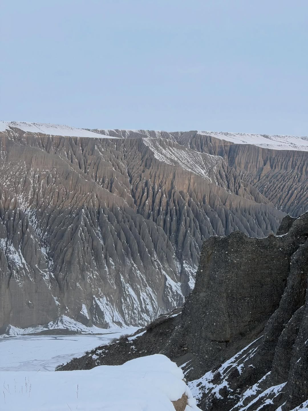 ฟรัง - นรีกุล เกตุประภากร