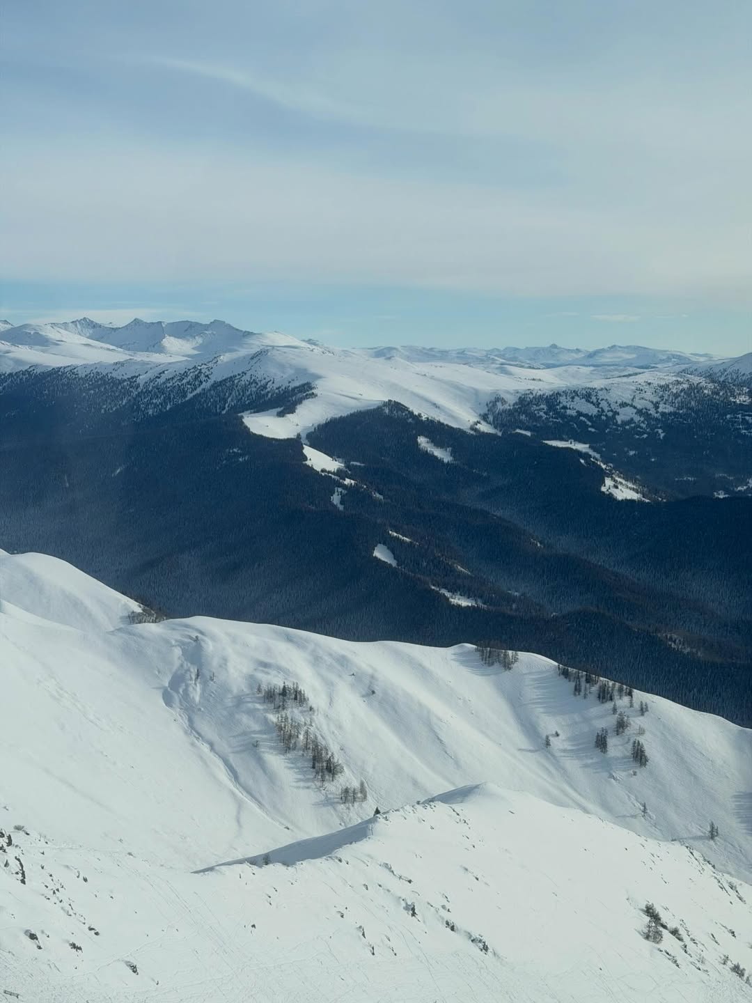 ฟรัง - นรีกุล เกตุประภากร