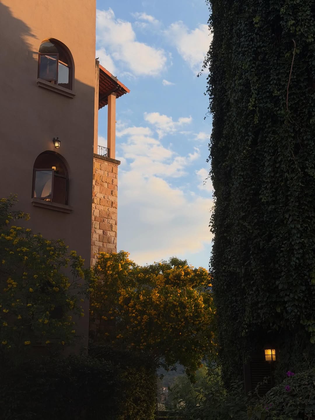 ฟรัง - นรีกุล เกตุประภากร