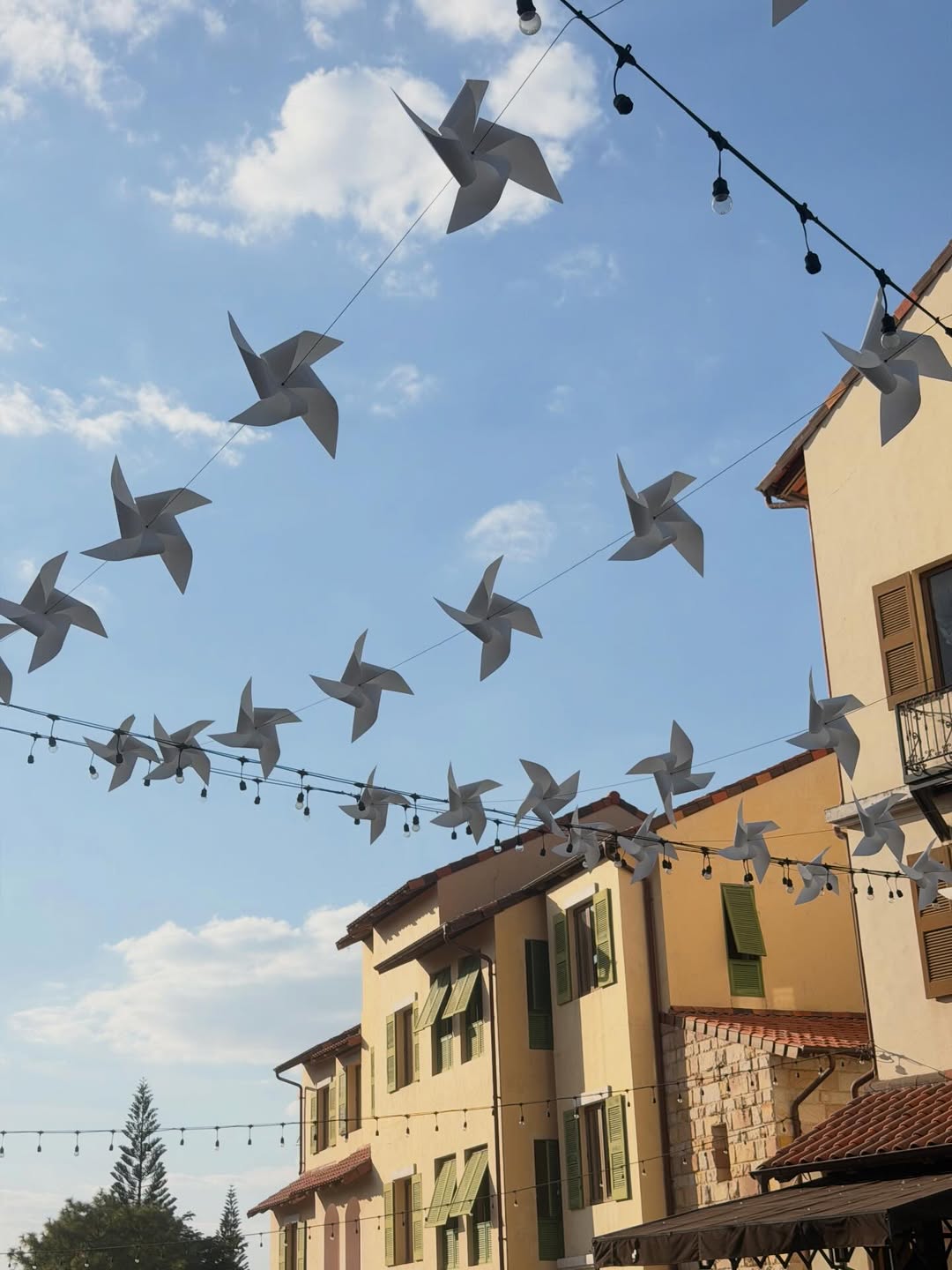 ฟรัง - นรีกุล เกตุประภากร