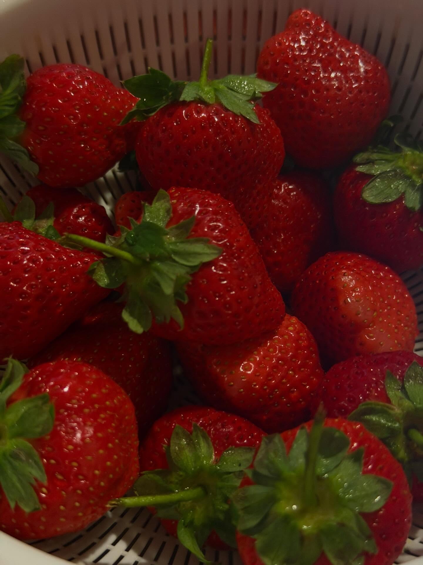 ฟรัง - นรีกุล เกตุประภากร