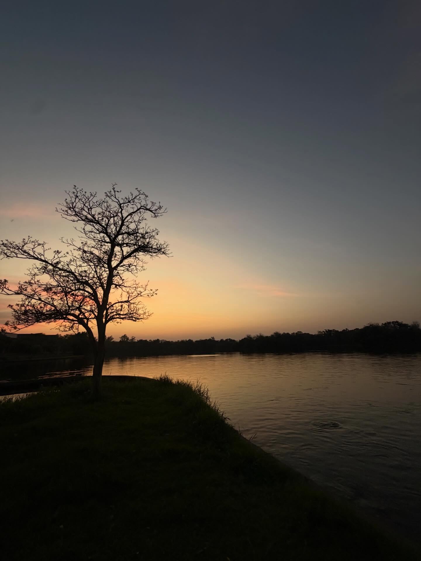 ฟรัง - นรีกุล เกตุประภากร