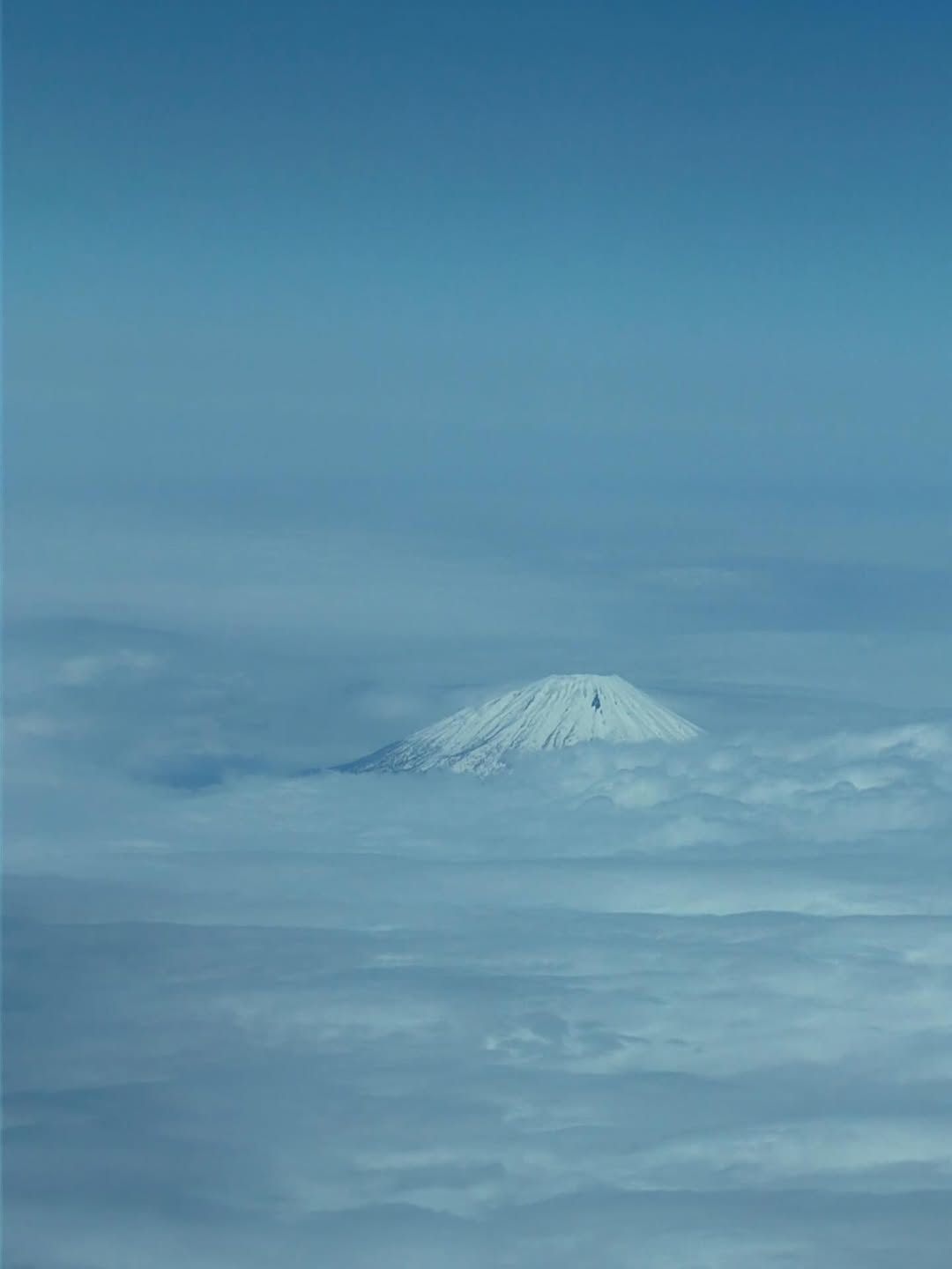 ฟรัง - นรีกุล เกตุประภากร