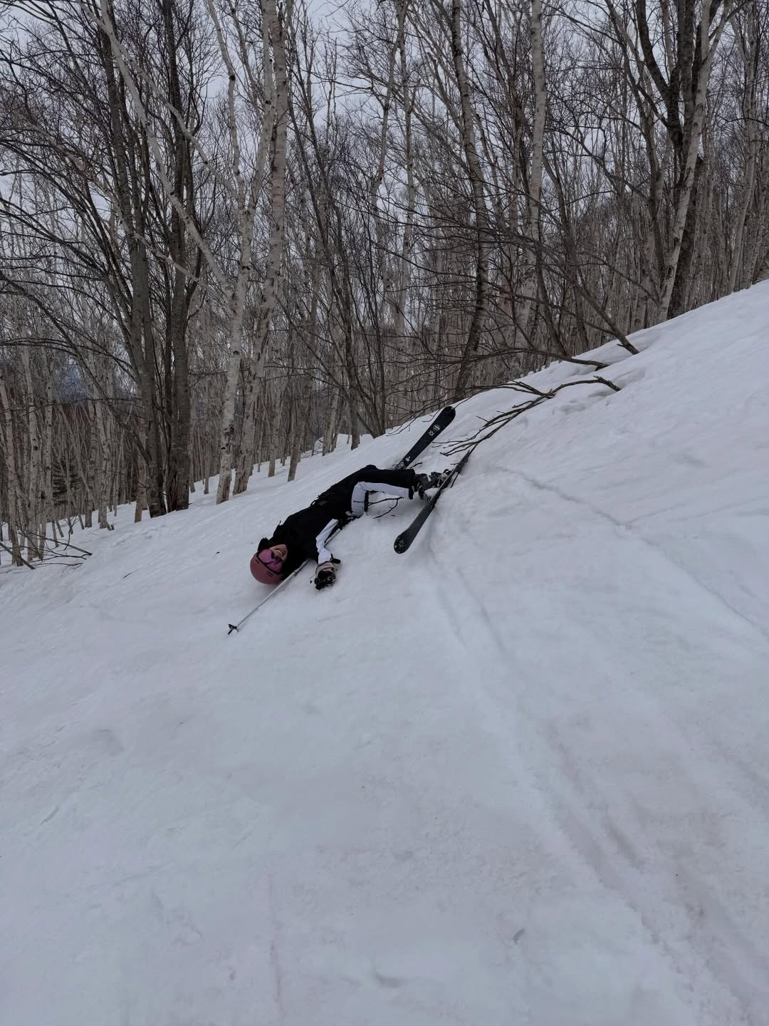 ฟรัง - นรีกุล เกตุประภากร