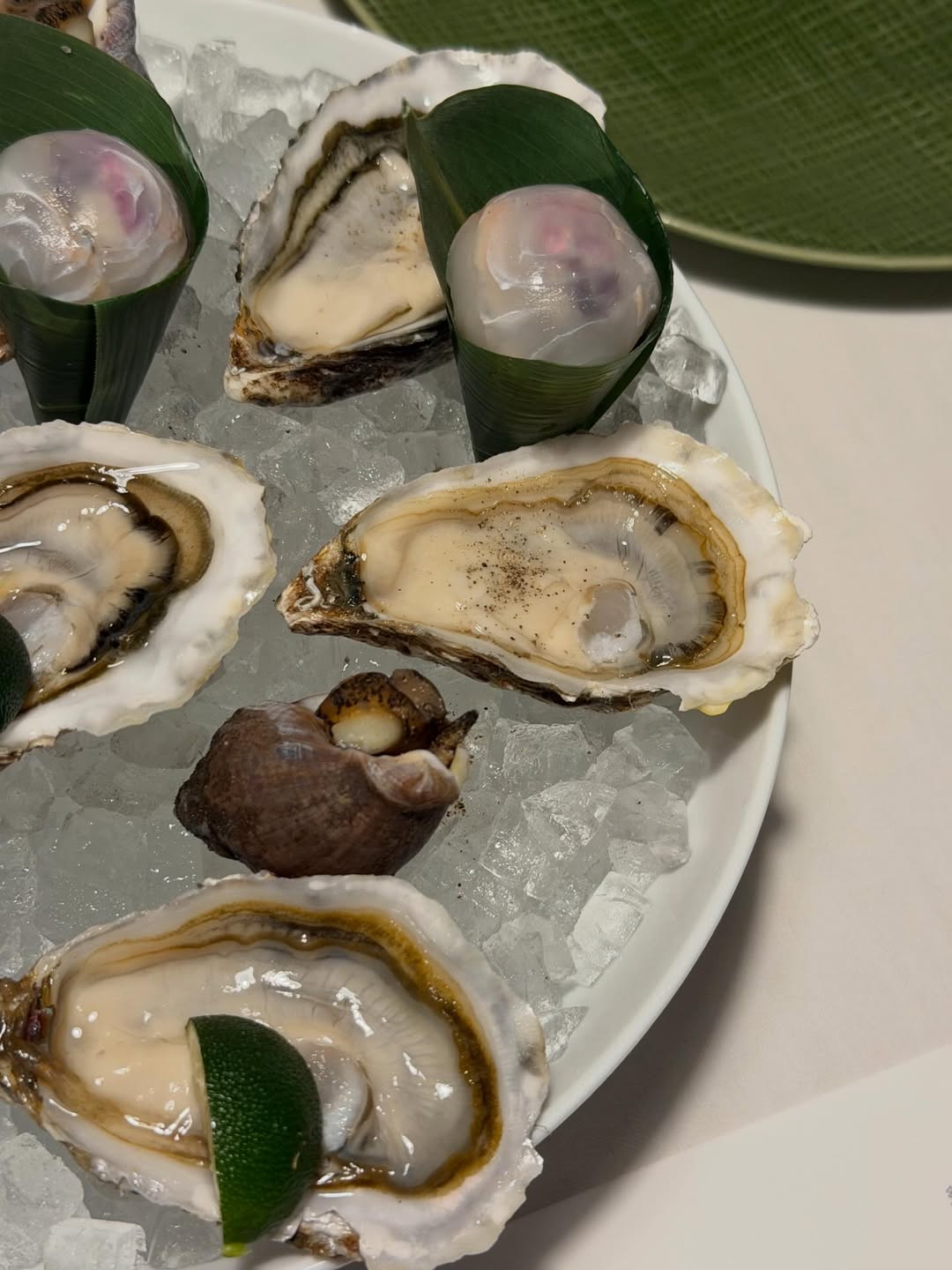 ฟรัง - นรีกุล เกตุประภากร