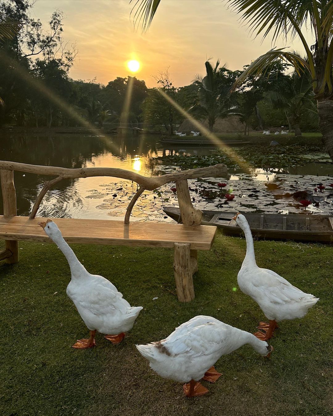 อาย - กมลเนตร เรืองศรี