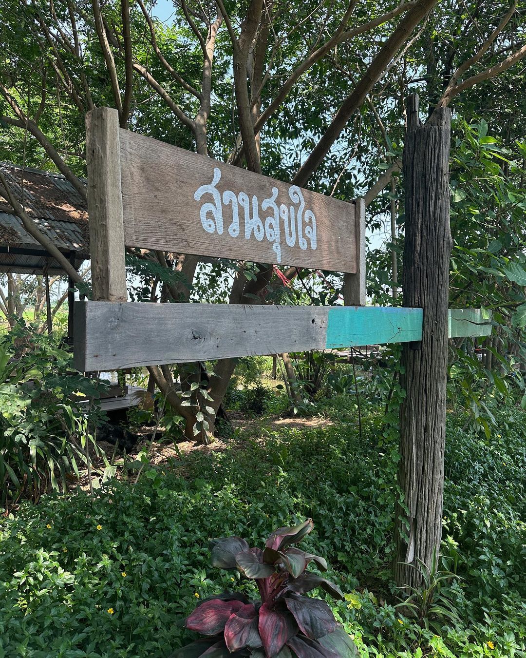 อาย - กมลเนตร เรืองศรี