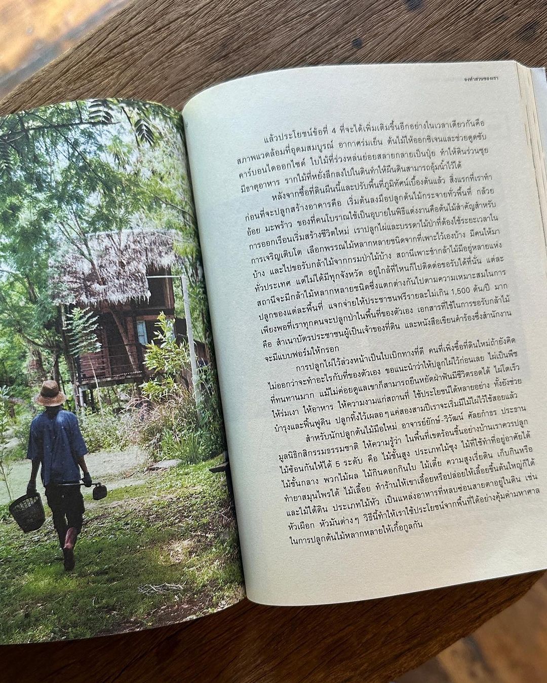 อาย - กมลเนตร เรืองศรี