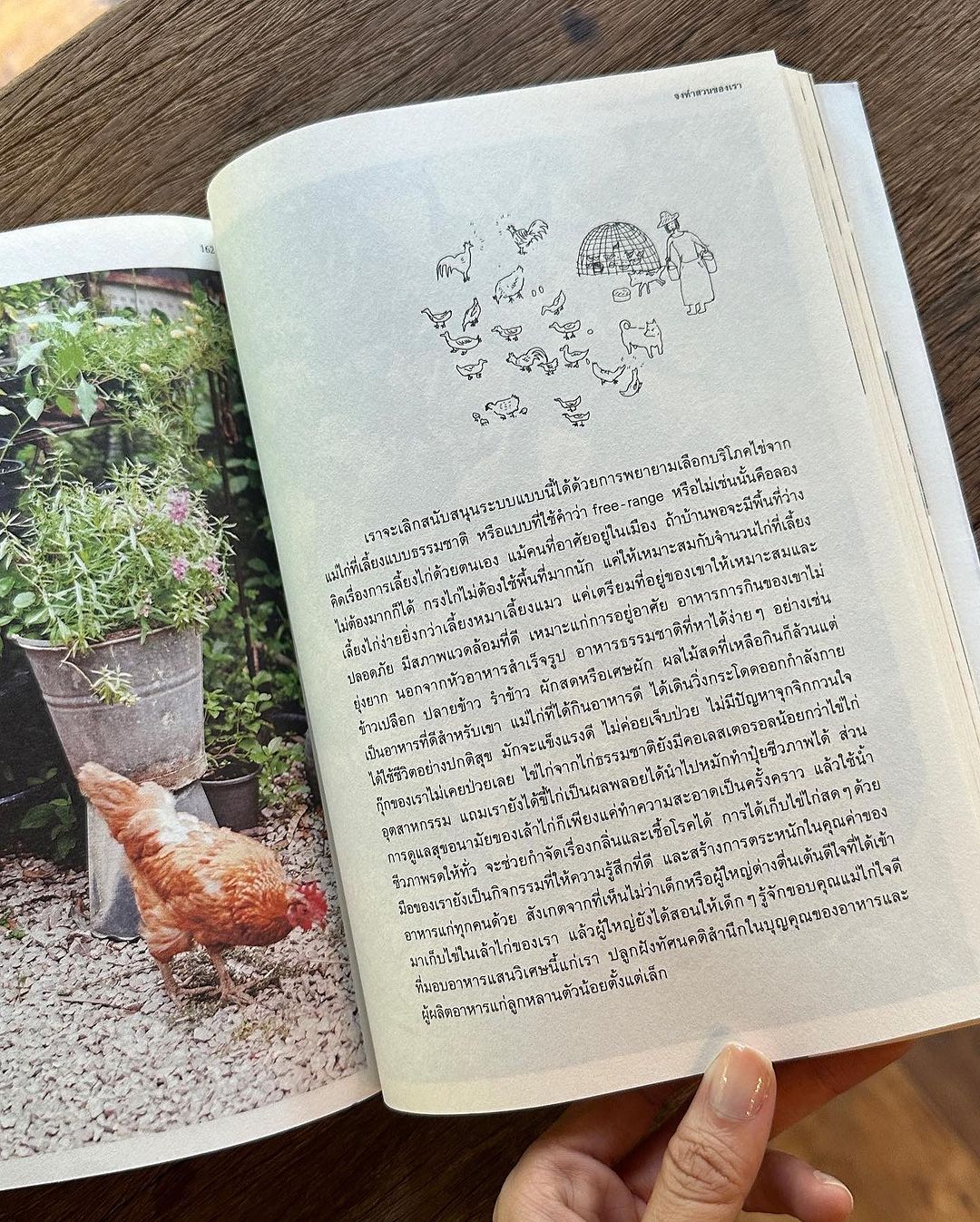 อาย - กมลเนตร เรืองศรี
