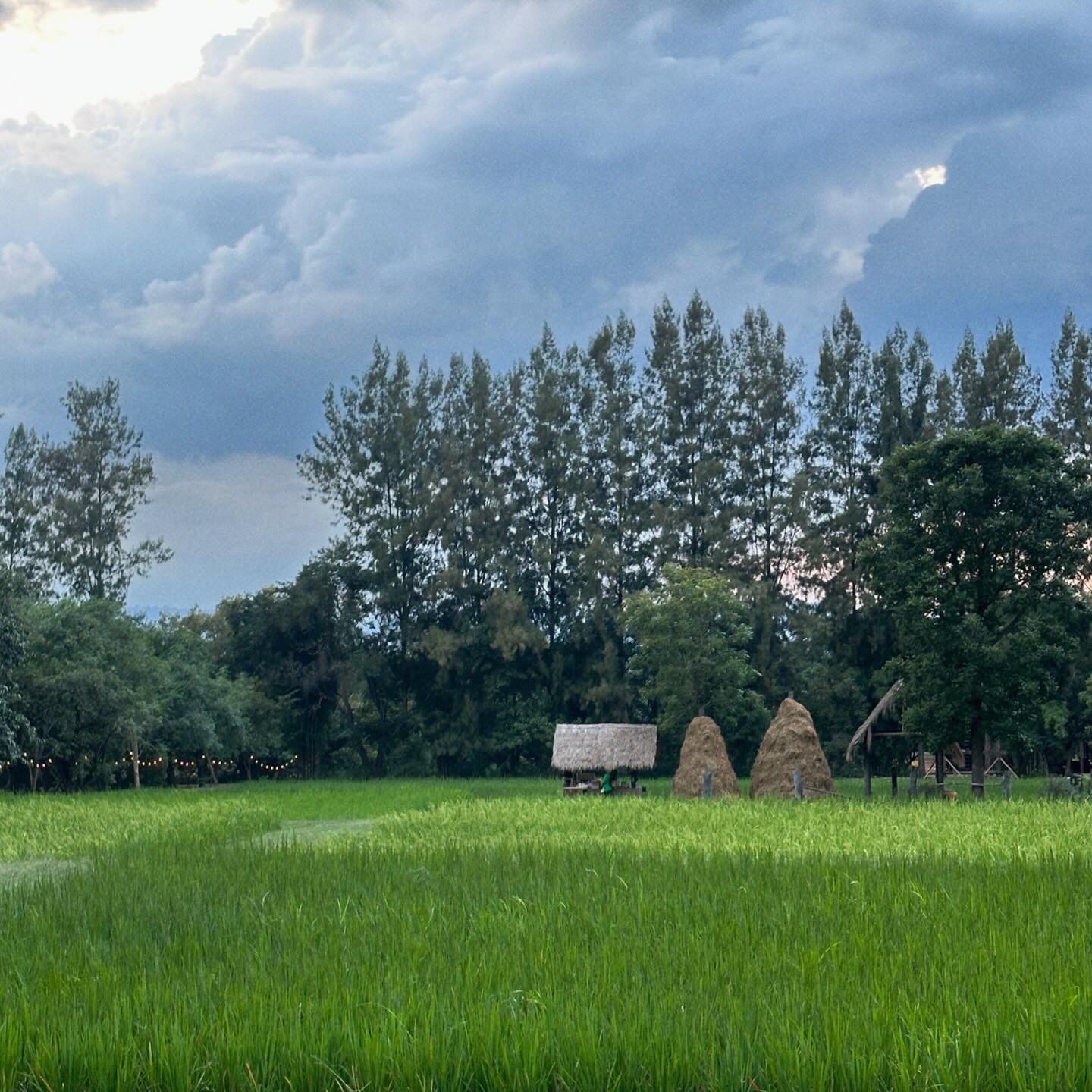 อาย - กมลเนตร เรืองศรี