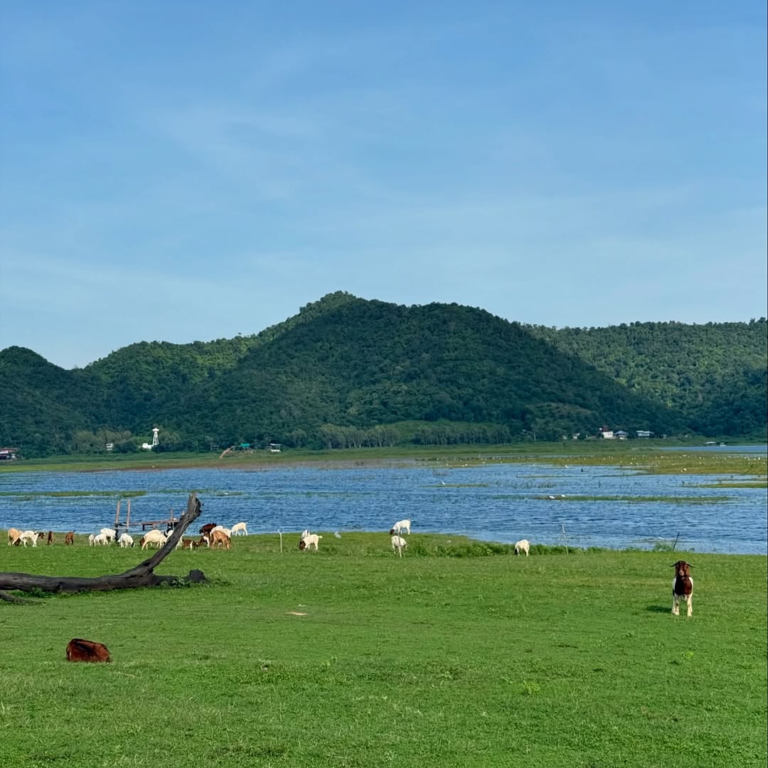 อาย - กมลเนตร เรืองศรี