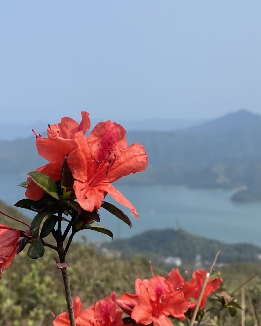 อาย - กมลเนตร เรืองศรี