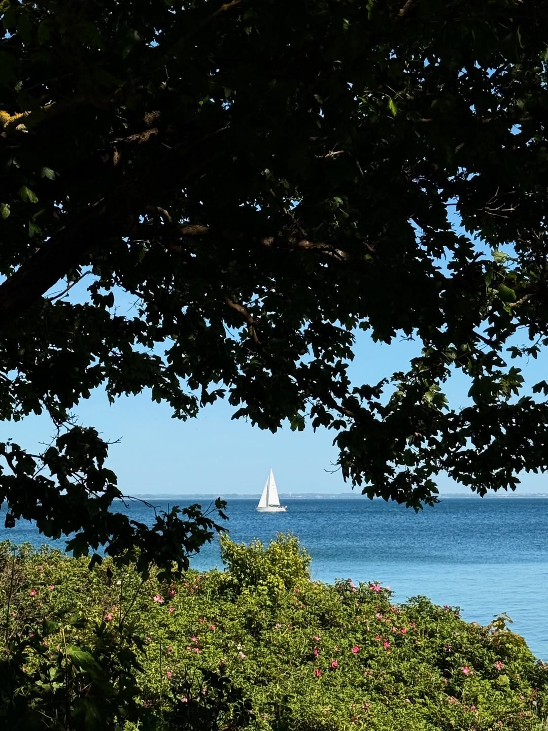 อาย - กมลเนตร เรืองศรี