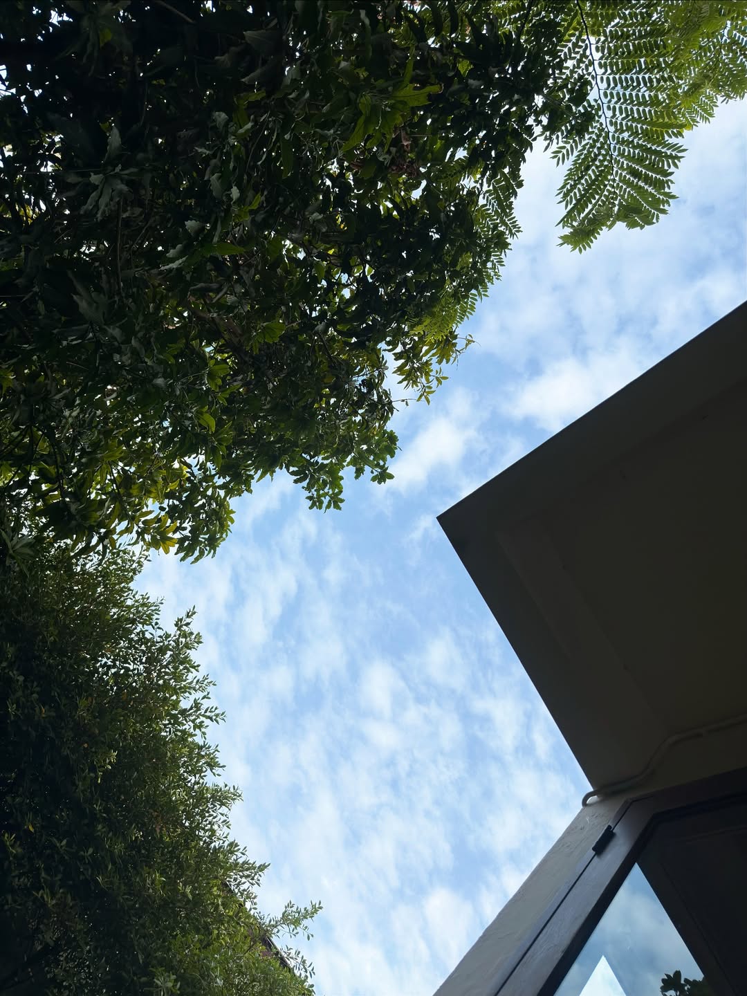 อาย - กมลเนตร เรืองศรี