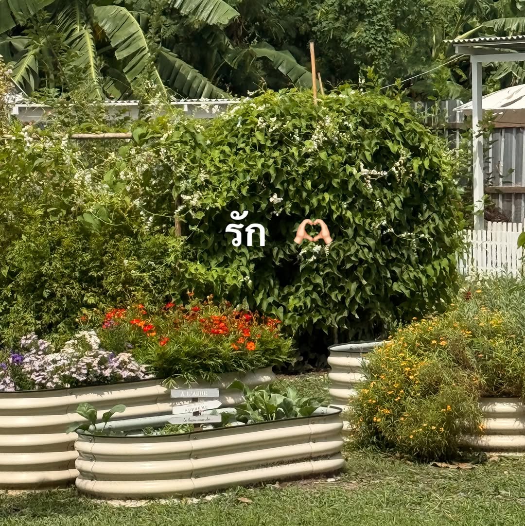อาย - กมลเนตร เรืองศรี