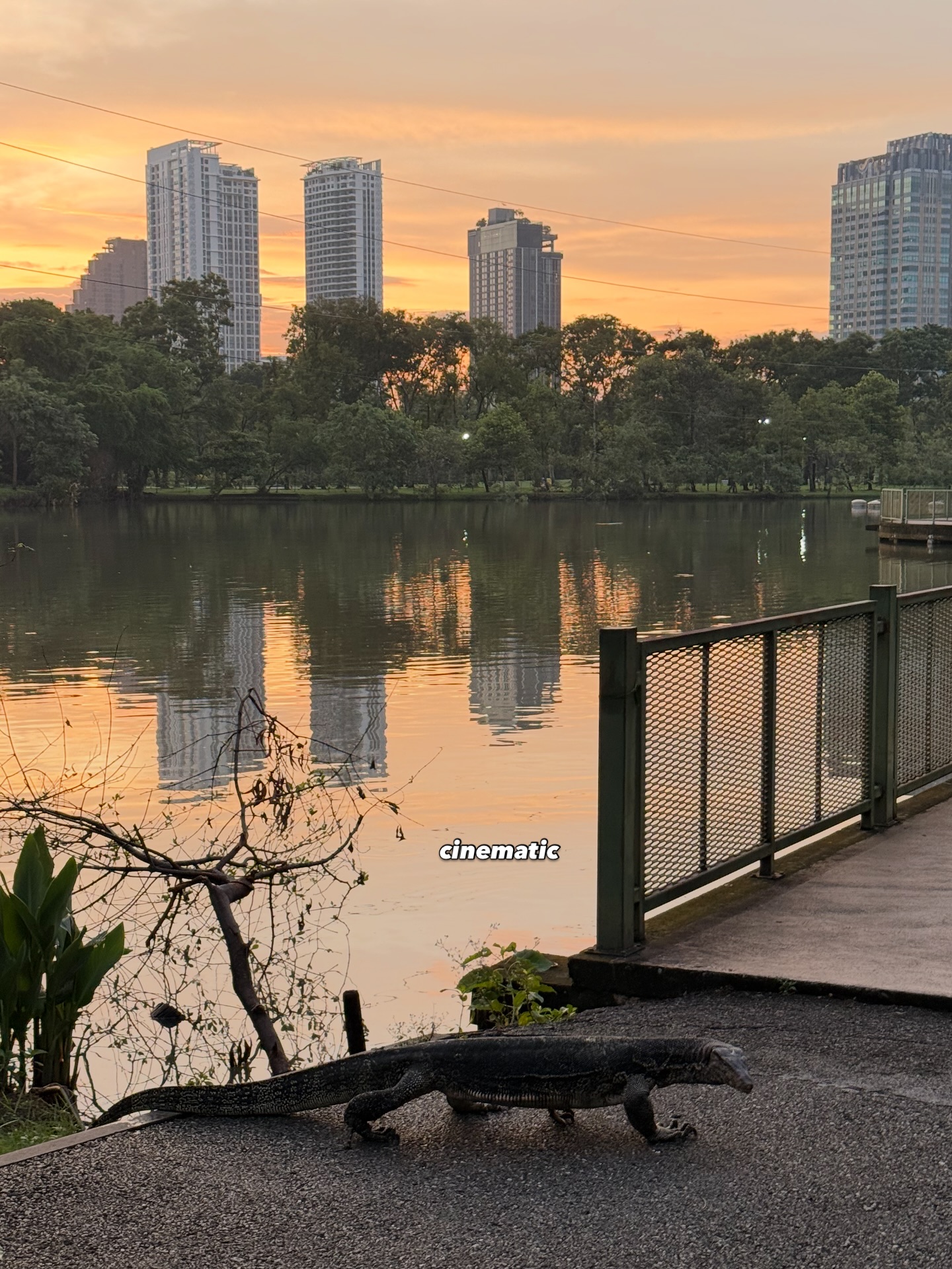 อาย - กมลเนตร เรืองศรี