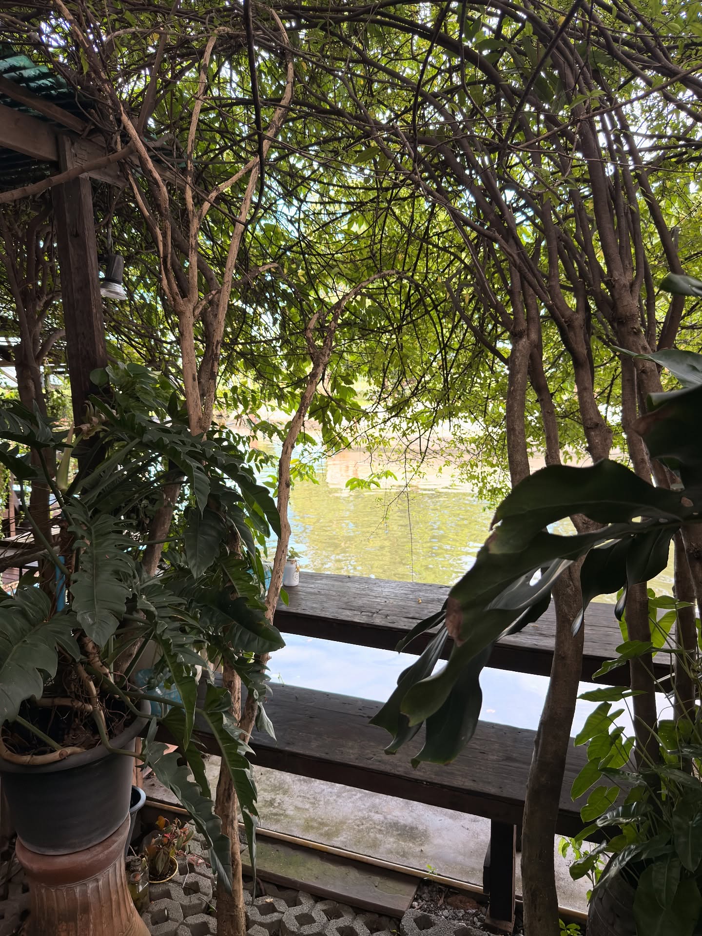 อาย - กมลเนตร เรืองศรี