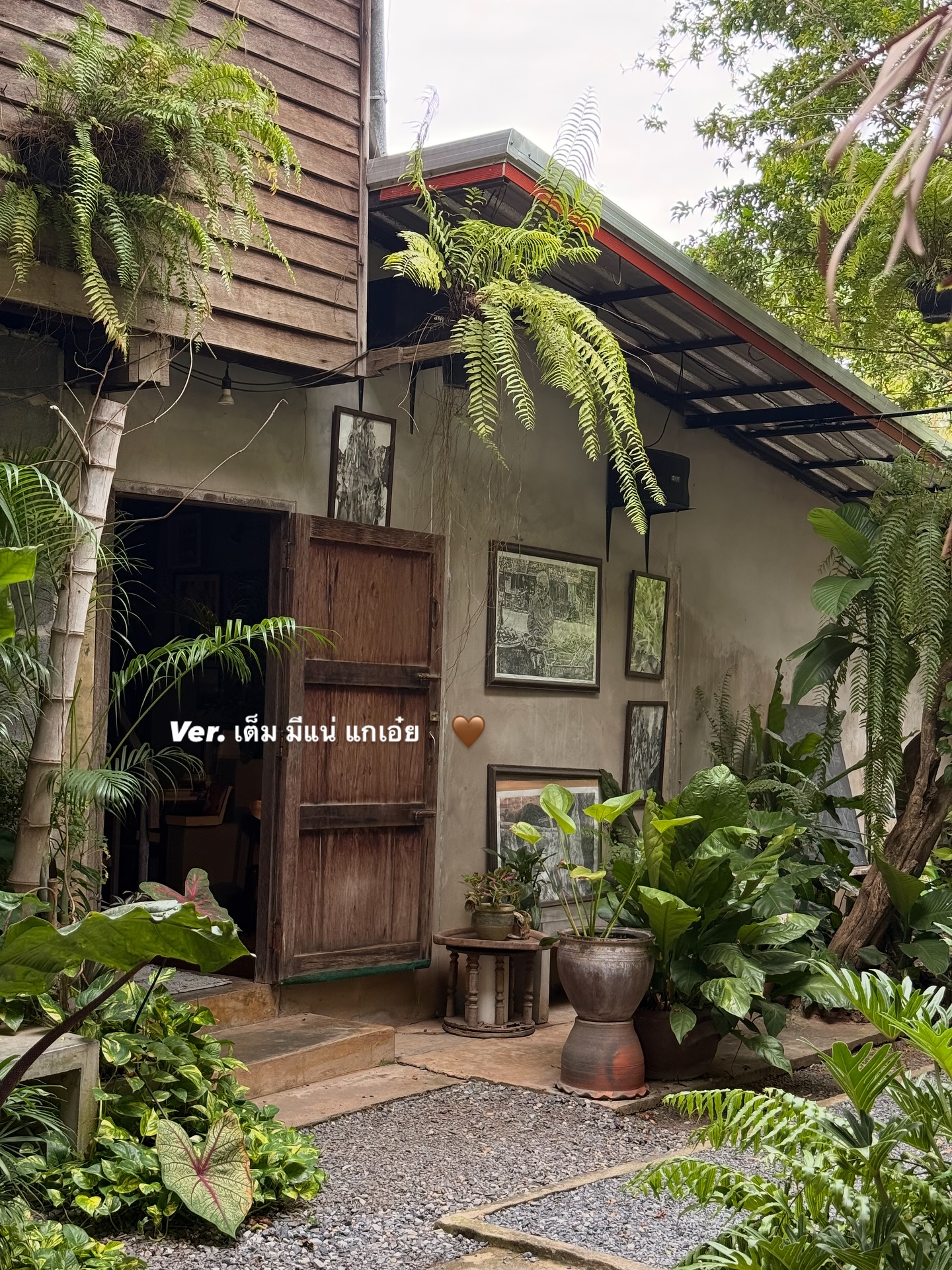 อาย - กมลเนตร เรืองศรี