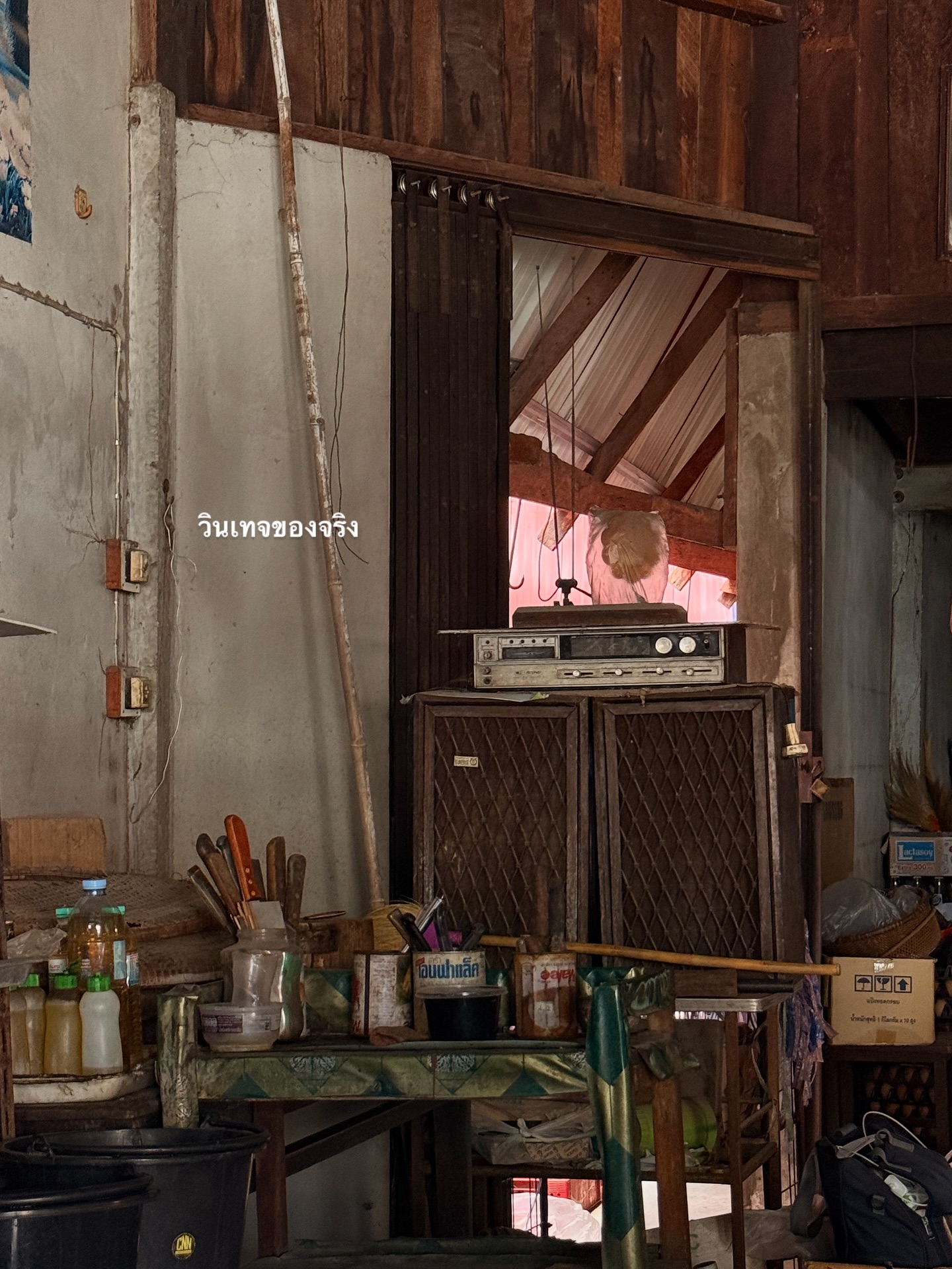 อาย - กมลเนตร เรืองศรี