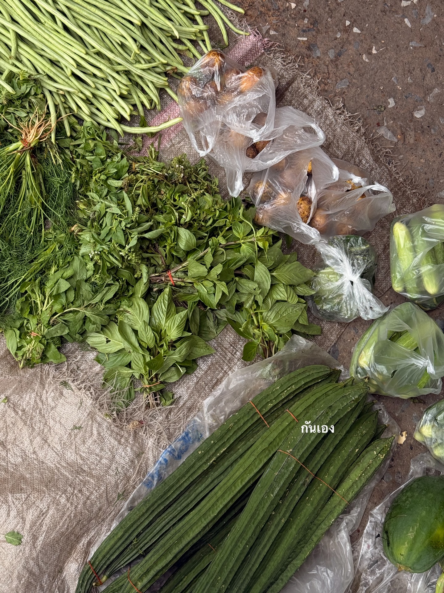 อาย - กมลเนตร เรืองศรี