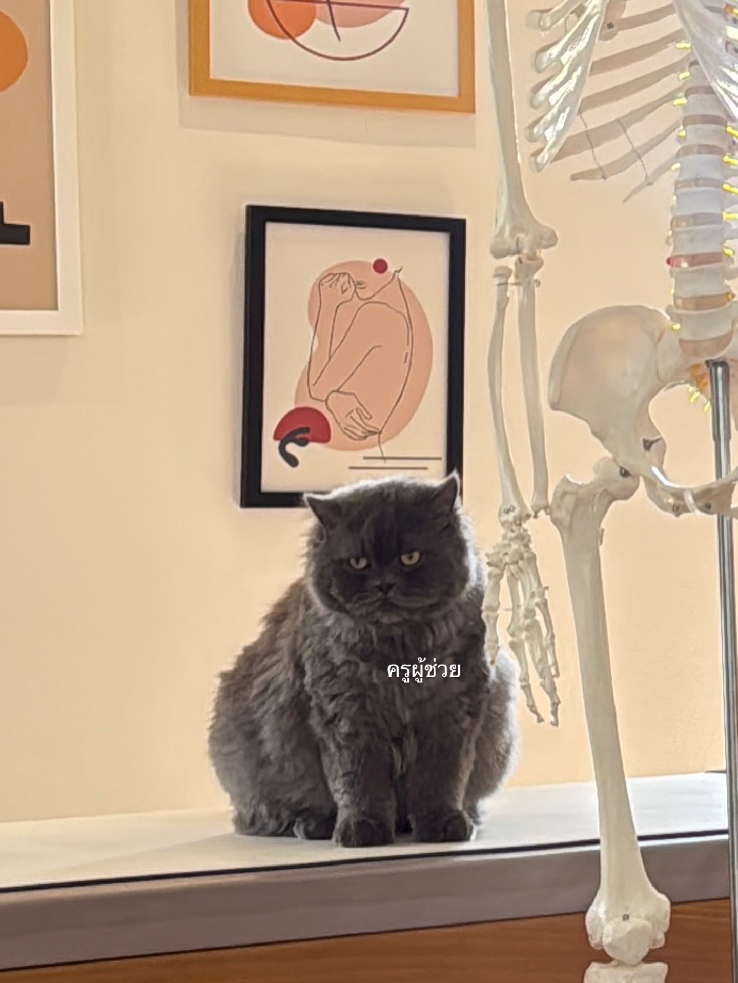 อาย - กมลเนตร เรืองศรี