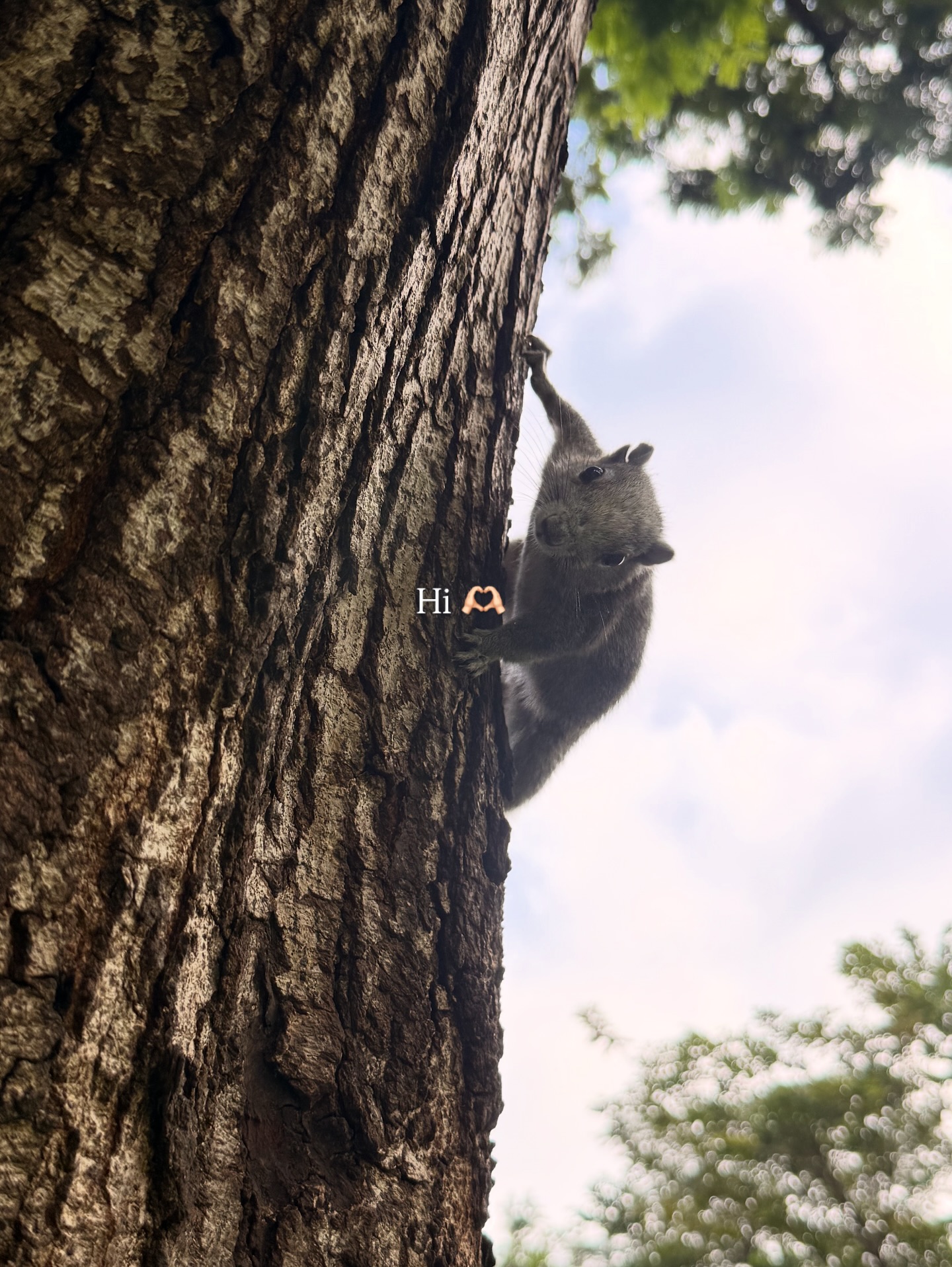 อาย - กมลเนตร เรืองศรี