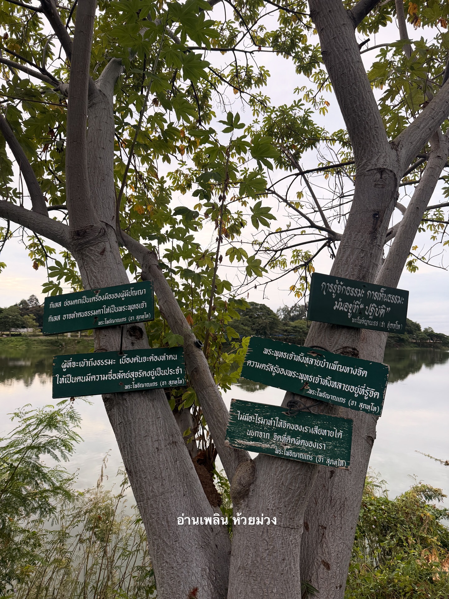 อาย - กมลเนตร เรืองศรี