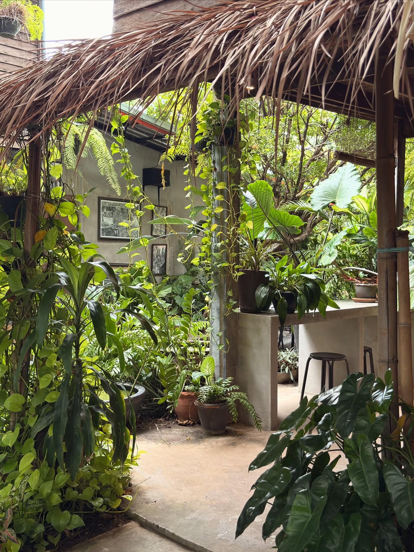 อาย - กมลเนตร เรืองศรี