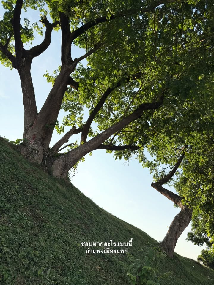 อาย - กมลเนตร เรืองศรี