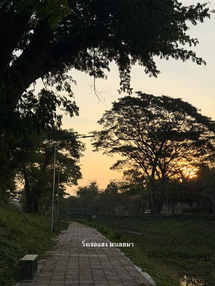 อาย - กมลเนตร เรืองศรี