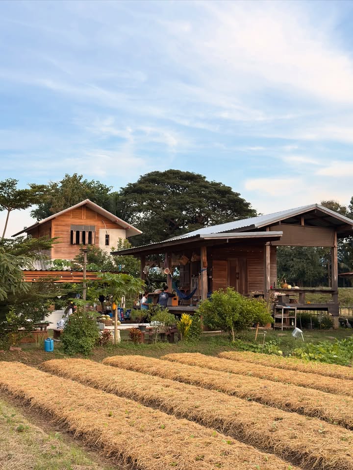 อาย - กมลเนตร เรืองศรี