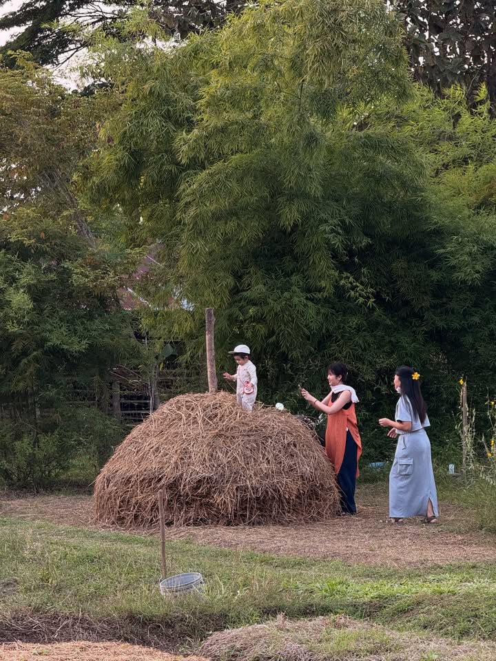 อาย - กมลเนตร เรืองศรี