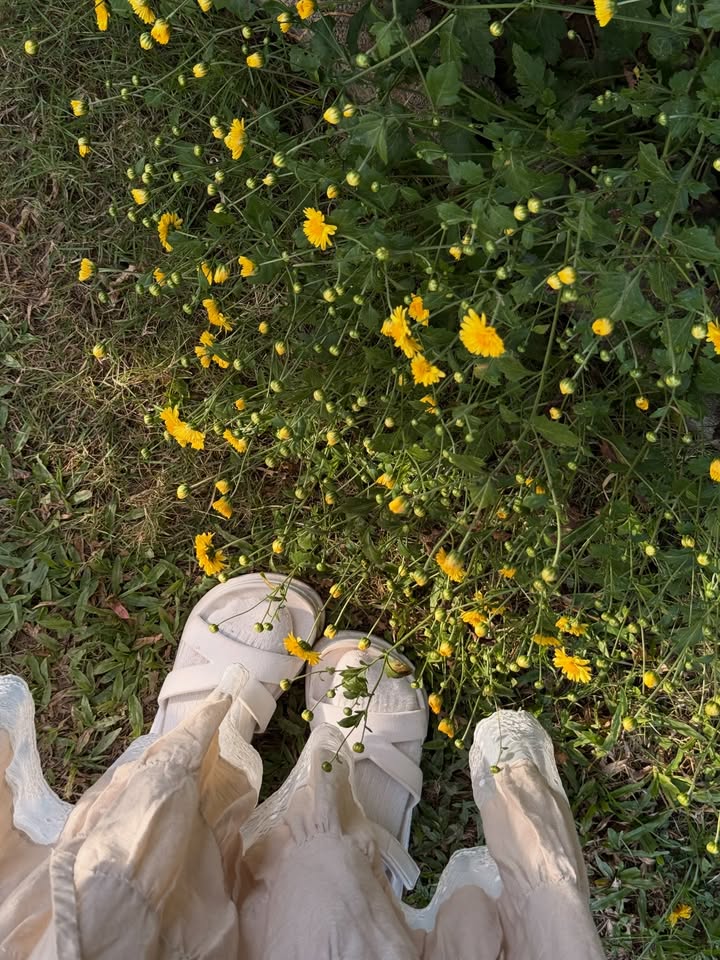 อาย - กมลเนตร เรืองศรี