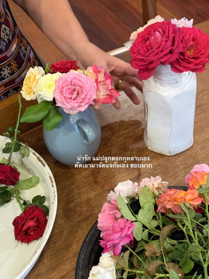 อาย - กมลเนตร เรืองศรี