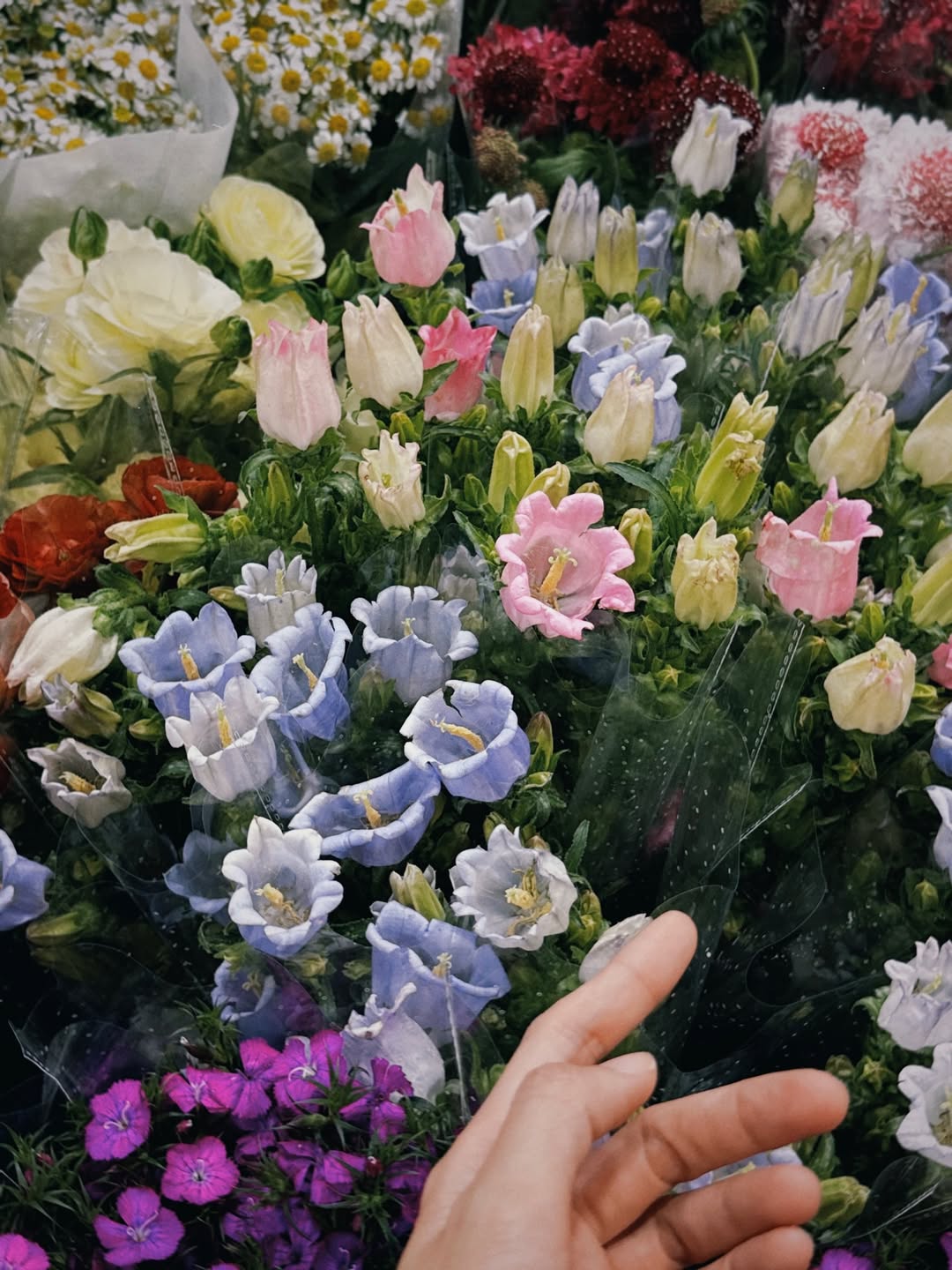 อาย - กมลเนตร เรืองศรี