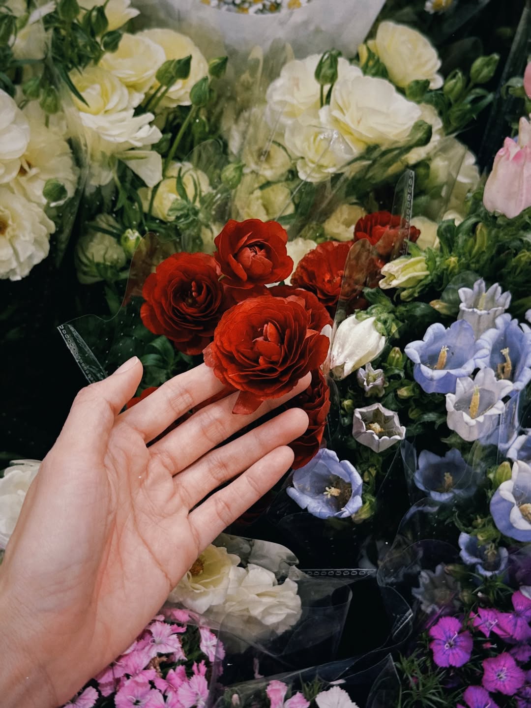 อาย - กมลเนตร เรืองศรี