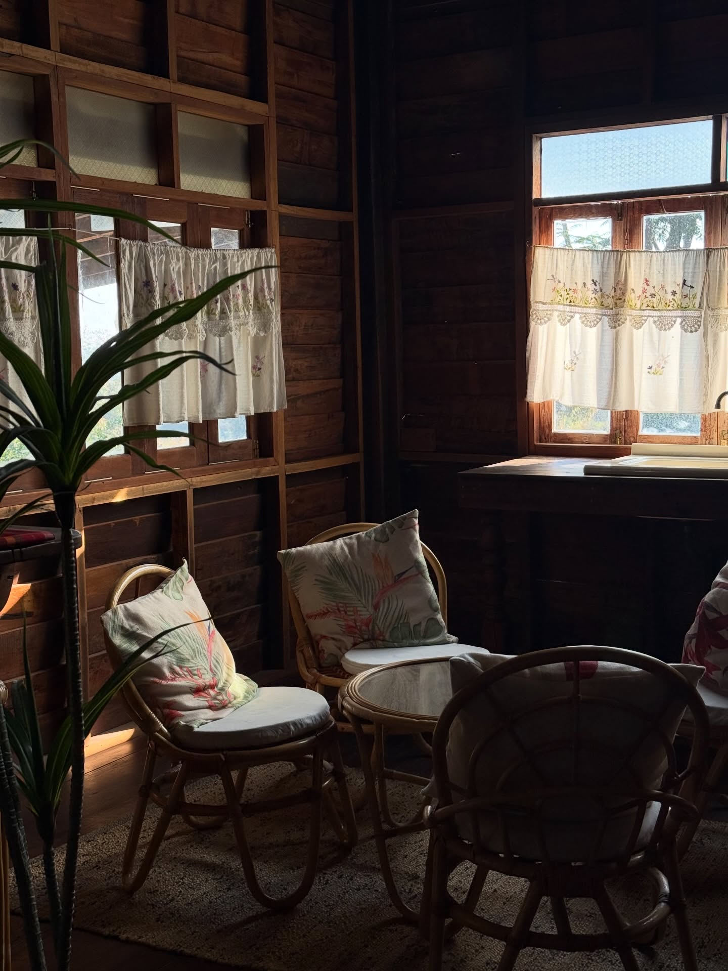 อาย - กมลเนตร เรืองศรี